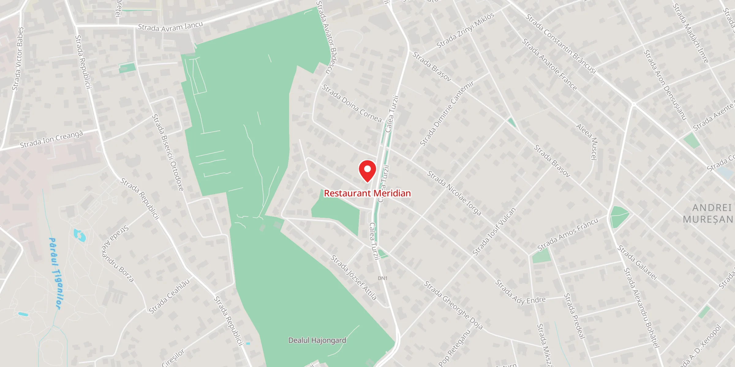 Hartă a locației Restaurant Meridian, Calea Turzii 62, Cluj-Napoca, Cluj