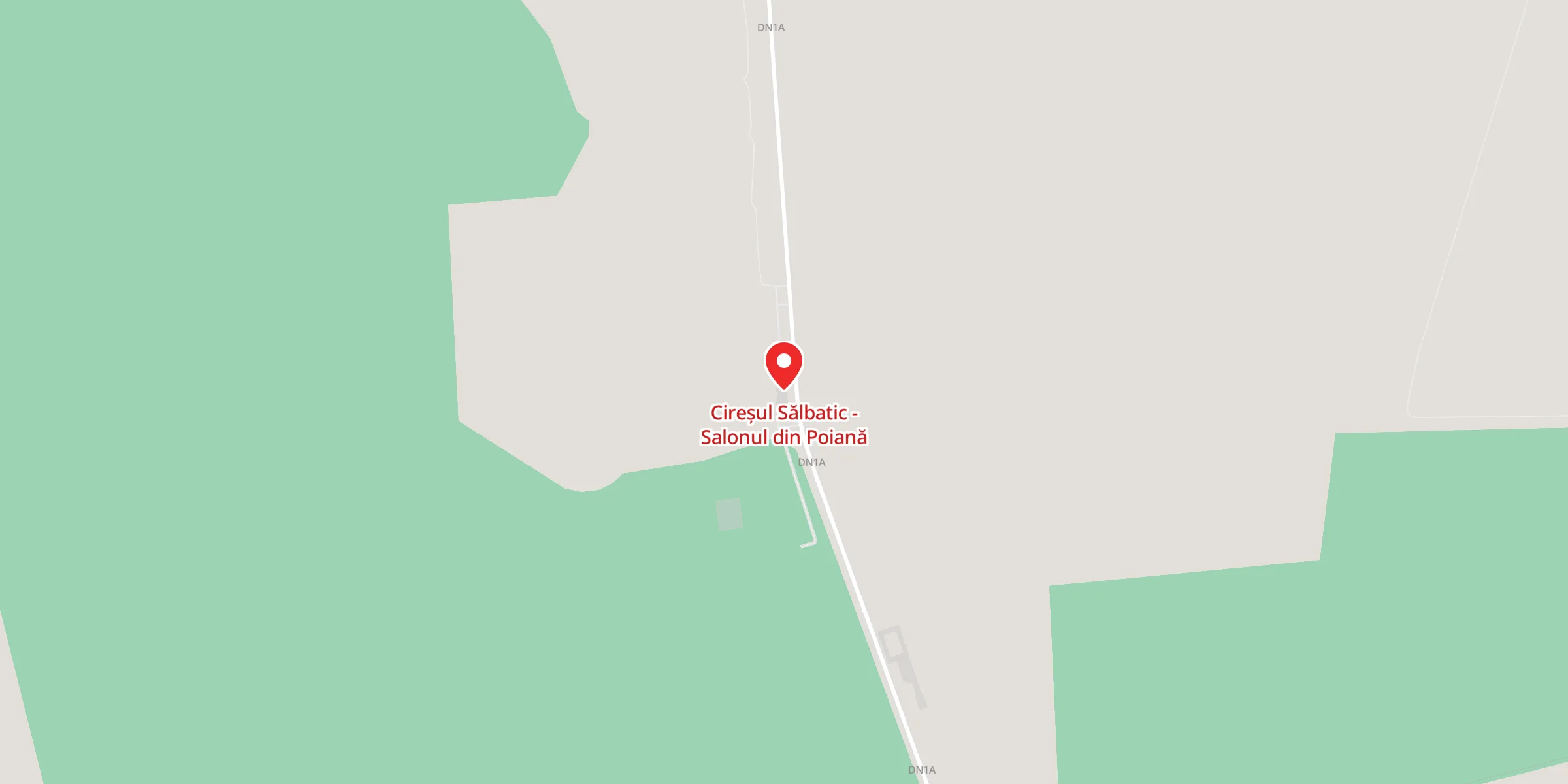 Hartă a locației Cireșul Sălbatic - Salonul din Poiană, Pădurea Lucianca, Butimanu, Județul Dâmbovița (19 km de București, DN1A, la 7 km de Buftea)